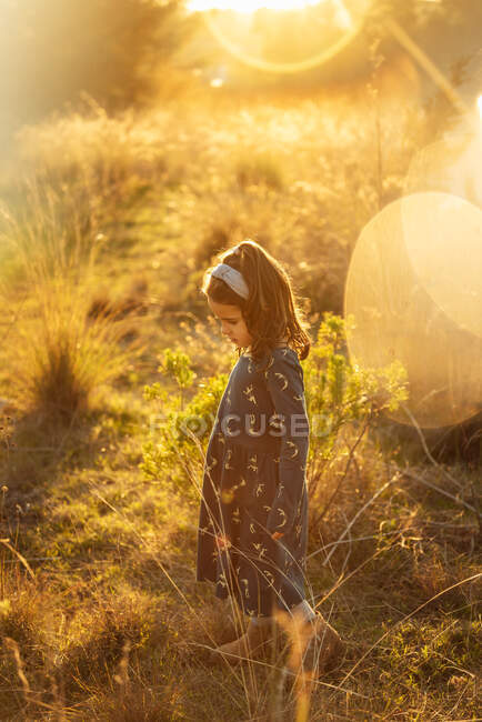 Angle élevé d'adorable petite fille en robe debout au milieu de l'herbe haute dans le champ à la lumière du soleil tout en passant l'été dans la campagne — Photo de stock