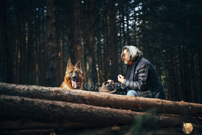 Side view of man sitting in a tree trunk near coniferous trees with domestic dog in sunny day — Stock Photo