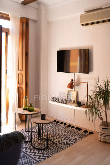 Modern interior of living room with TV set and potted plant in cozy apartment — Stock Photo