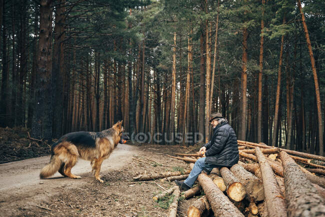 Vista lateral del hombre sentado en un tronco de árbol cerca de árboles de coníferas con perro doméstico en el día soleado - foto de stock