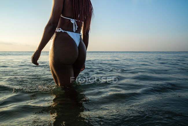 Vue arrière femme noire anonyme avec des tresses sur la plage — Photo de stock