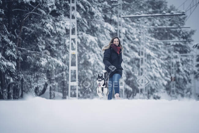 Чудовий домашній мисливський собака бігає з жінкою між деревами в зимових лісах. — стокове фото