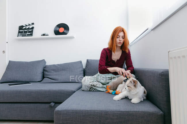 Mujer con juguete para mascotas divirtiéndose con adorable gato esponjoso mientras está sentado en el sofá en casa - foto de stock