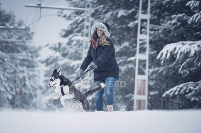 Bellissimo cane cacciatore domestico in esecuzione con la donna tra gli alberi nella foresta invernale — Foto stock