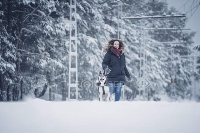 Hermoso perro cazador doméstico corriendo con mujer entre los árboles en el bosque de invierno - foto de stock