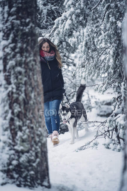Леді в лижній куртці, яка ходить з домашнім собакою між деревами в зимовому лісі. — стокове фото