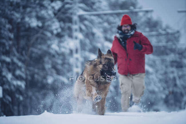 Чоловік у лижному піджаку біжить з домашнім собакою з свинцем на снігу між деревами в зимовому лісі — стокове фото