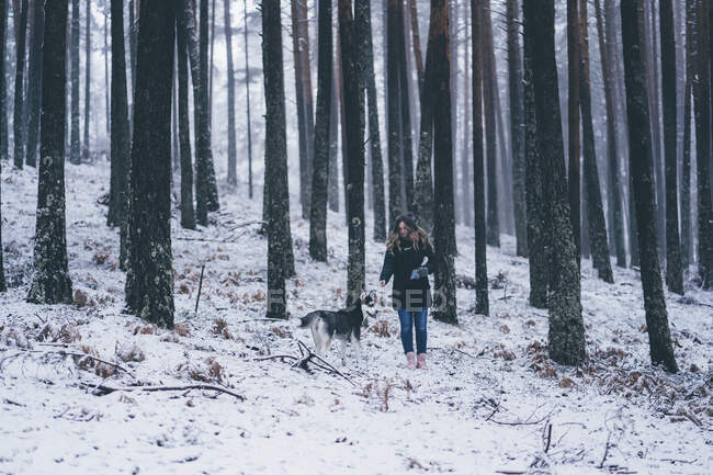 Dame en veste de ski marche avec chien domestique entre les arbres dans la forêt d'hiver — Photo de stock