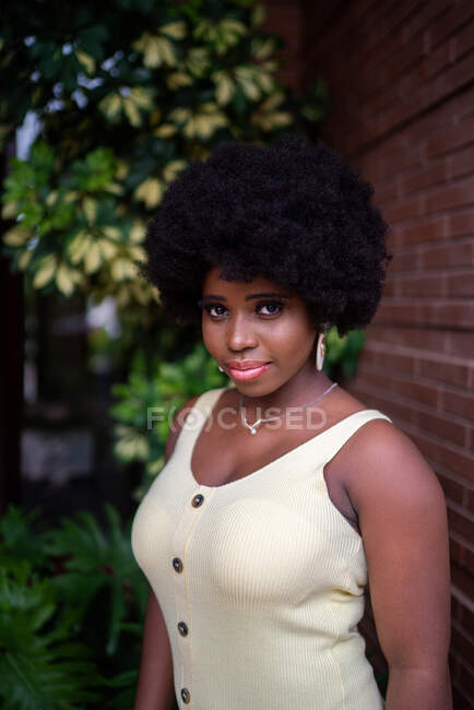 Joven modelo femenino afroamericano de pelo afro en vestido y pendientes apoyados en la pared de ladrillo rojo y mirando a la cámara - foto de stock