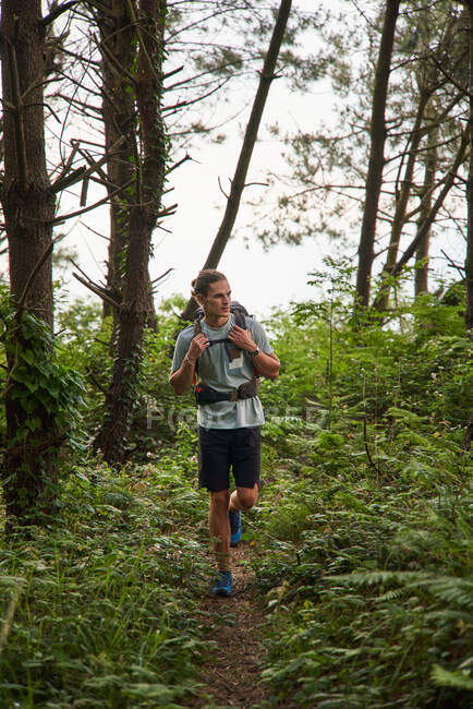 Caminante masculino caminando por senderos en bosques durante el trekking en verano - foto de stock