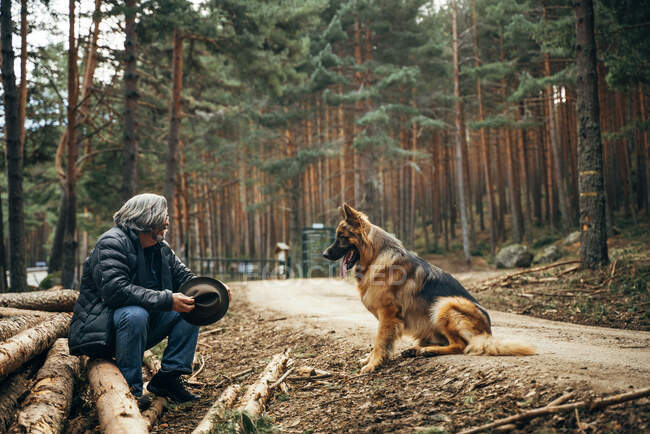 Vista laterale dell'uomo seduto in un tronco d'albero vicino a conifere con cane domestico nella giornata di sole — Foto stock
