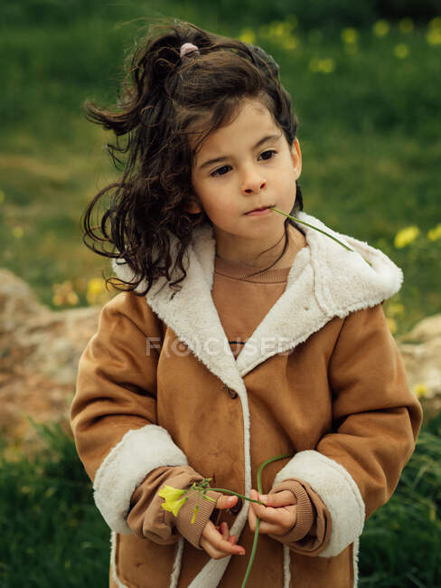 Adorable pensive little Hispanic girl in warm coat with blooming flower in hand and green grass in mouth standing in nature in spring day — Stock Photo