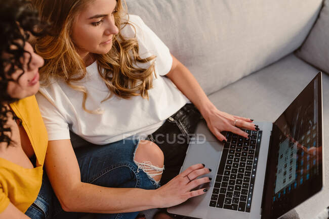 Desde arriba joven pareja de lesbianas navegando netbook juntos mientras están sentados en un acogedor sofá en la sala de estar - foto de stock