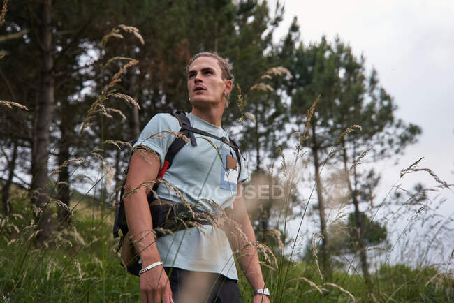 Randonneur masculin marchant sur le sentier dans les bois pendant la randonnée en été — Photo de stock