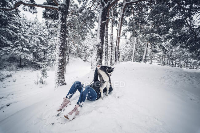 Vista laterale del cane domestico che gioca con la giovane signora sulla neve tra gli alberi nella foresta invernale — Foto stock