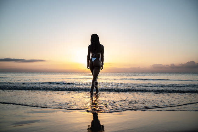 Retrovisore anonimo nero donna con trecce sulla spiaggia — Foto stock
