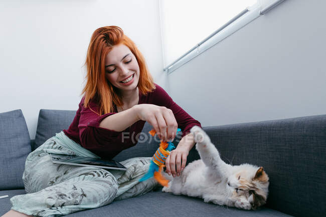 Вміст самки з іграшкою для домашніх тварин розважається з чарівною пухнастою кішкою, сидячи на дивані вдома — стокове фото