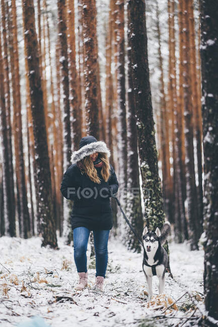 Леди в лыжной куртке гуляет с домашней собакой между деревьями в зимнем лесу — стоковое фото