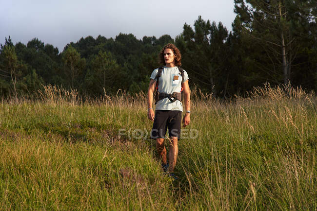 Mochilero masculino caminando en el prado al atardecer durante el trekking en verano y mirando hacia otro lado - foto de stock