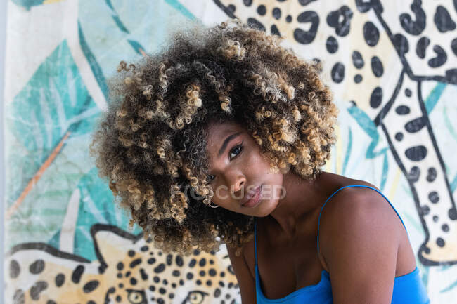 Belle femme afro-américaine tendance aux cheveux bouclés et en robe bleue assise sur une chaise en studio et regardant la caméra — Photo de stock