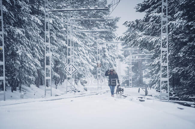 Senhora de casaco de esqui andando com cão doméstico entre árvores na floresta de inverno — Fotografia de Stock