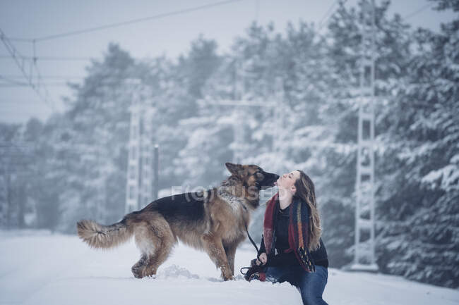 Бічний вид домашньої собаки зі свинцем лизання обличчя молодої леді на снігу між деревами в зимовий ліс. — стокове фото