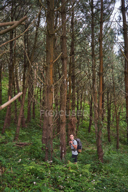 High angle of male hiker walking on trail in woods during trekking in summer — Stock Photo