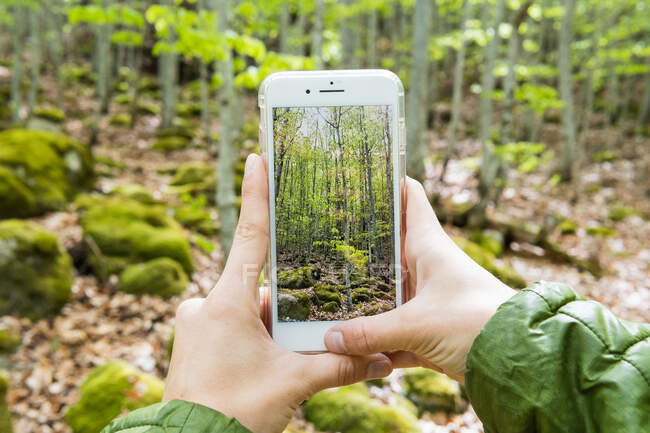 Cortar las manos de un viajero irreconocible tomando fotos de bosques en el teléfono inteligente durante las vacaciones en los Pirineos - foto de stock