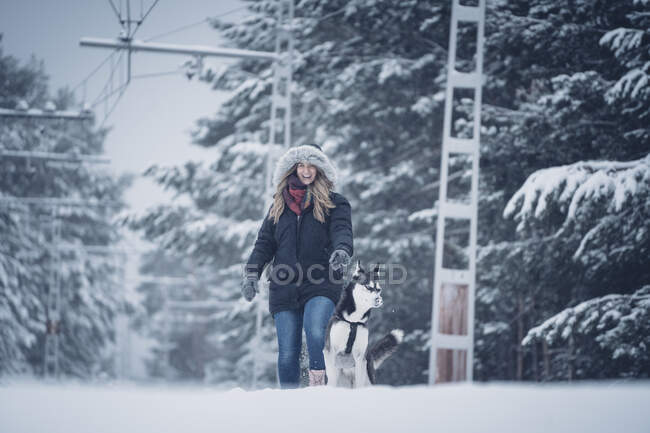 Чудовий домашній мисливський собака бігає з жінкою між деревами в зимових лісах. — стокове фото