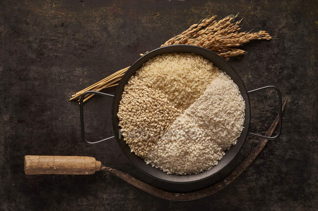 Du dessus du bol avec divers types de riz séché placés près du bouquet d'oreilles et de la faucille sur fond noir — Photo de stock