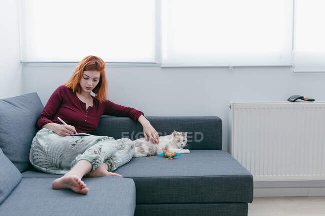 Joven hembra descalza con el pelo rojo navegando por Internet en la tableta mientras está sentado con el gato en el sofá en casa - foto de stock