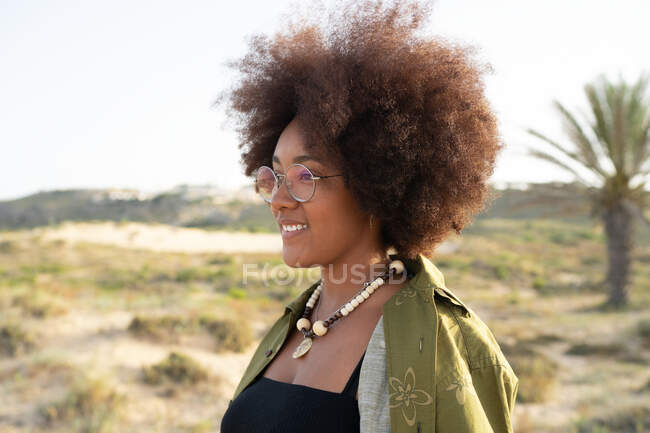 Vista lateral de la joven afroamericana sonriente con el pelo rizado mirando hacia otro lado mientras disfruta de las vacaciones de verano en el campo - foto de stock