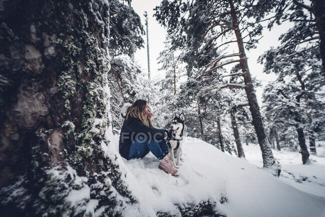 Vista lateral do cão doméstico brincando com a jovem senhora na neve entre árvores na floresta de inverno — Fotografia de Stock