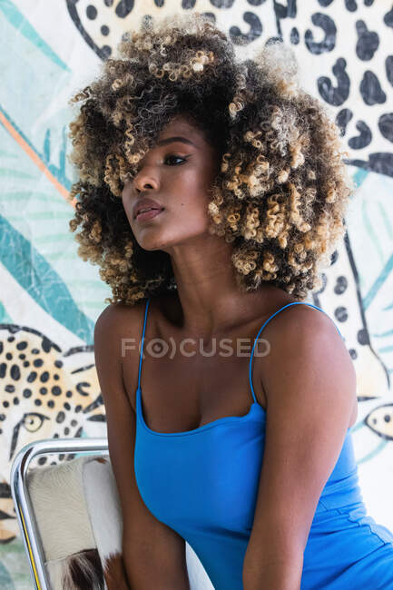 Trendy beautiful African American female with curly hair and in blue dress  sitting on chair in studio and looking away — black, style - Stock Photo |  #521051612