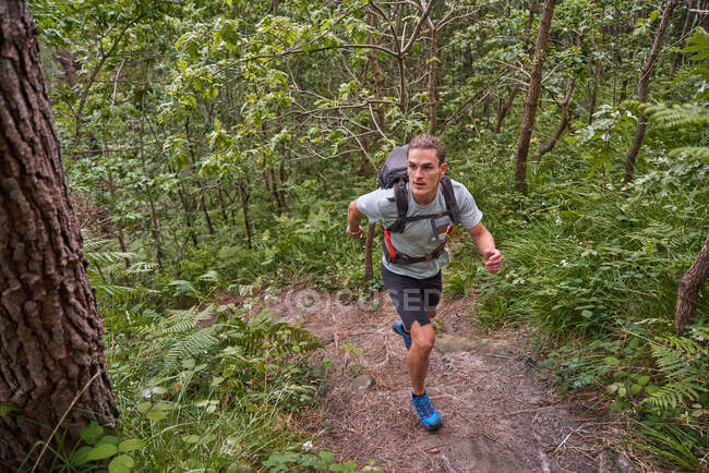 Alto ángulo de senderismo masculino caminando por senderos en bosques durante el trekking en verano - foto de stock