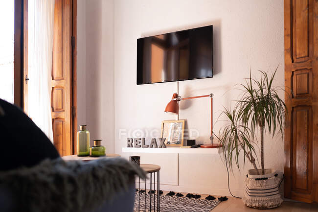 Modern interior of living room with TV set and potted plant in cozy apartment — Stock Photo