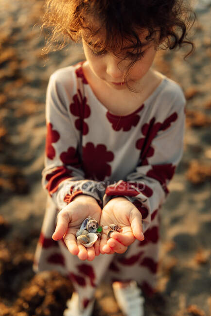 From above of little curly haired girl in dress demonstrating handful of seashells while spending summer day on beach — Stock Photo