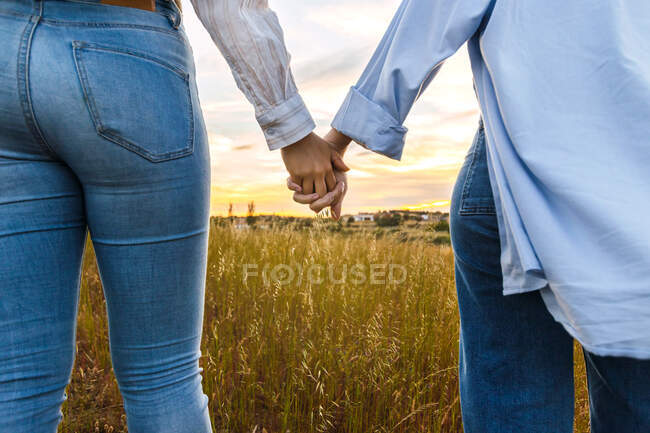 Пара тримається за руки на прекрасному полі на заході сонця. — стокове фото