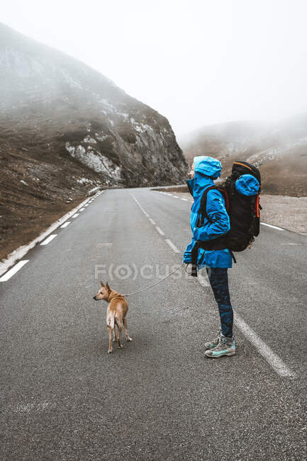 Бічний вид добре спорядженої жінки в яскраво-синій куртці з капюшоном і великий рюкзак і коричневий дон на порожній дорозі в горах — стокове фото