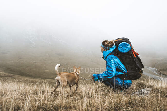 Вид збоку розслабленого мандрівника в яскраво-синій куртці з рюкзаком, що з'єднує коричневого собаку і сидить у сухому полі в туманному тумані в горах — стокове фото