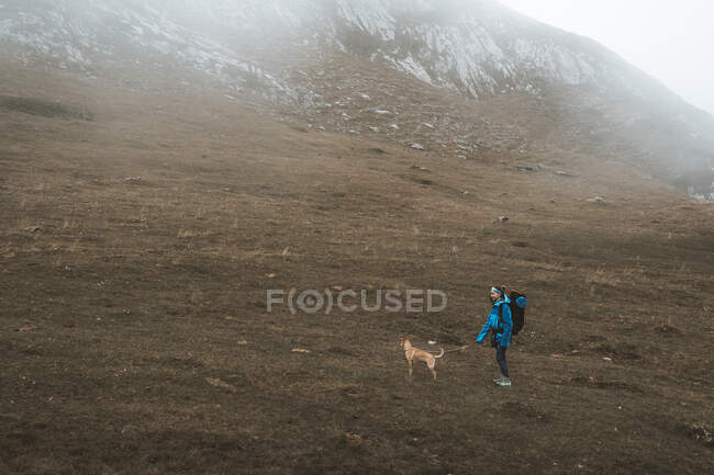 Vista laterale di donna escursionista in giacca blu brillante e zaino con cane marrone in valle asciutta e vuota circondata da montagne innevate — Foto stock