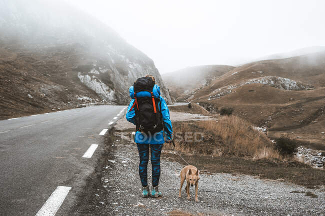 Rückenansicht einer gut ausgerüsteten Frau in hellblauer Jacke und großem Rucksack und braunem Hund auf leerer Straße in den Bergen — Stockfoto