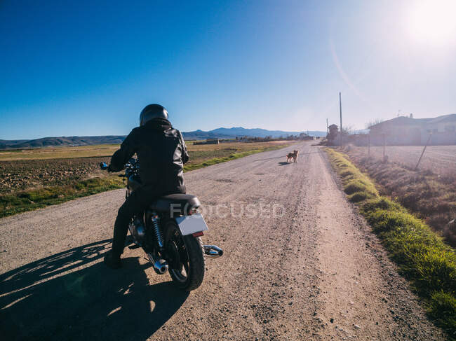 Vista trasera persona conduciendo moto en carretera rural a la luz del sol en el campo - foto de stock