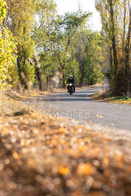 Чоловік у шкіряній куртці та шоломі їде на асфальтовій дорозі в сонячний осінній день у сільській місцевості — стокове фото