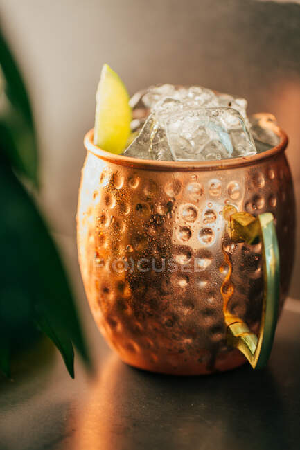 Mosca cocktail mulo in vaso di rame — Foto stock
