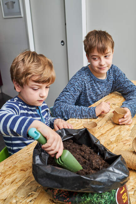 Дитина з лопатою, беручи землю з пластикового пакету за столом проти усміхненого братика з еко-чашкою в будинку — стокове фото