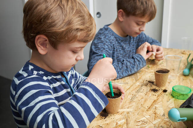 Siblings planting seedling in cardboard cup with ground at table with gardening shovel — Stock Photo