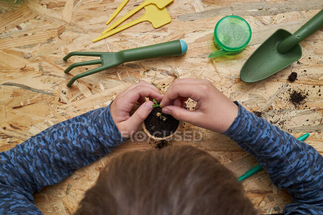 Высокий угол посева анонимного ребенка посадки саженцев в картонную чашку с землей за столом с садоводческой лопатой — стоковое фото