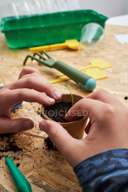 Crop anonymous kid planting seedling in cardboard cup with ground at table with gardening shovel — Stock Photo