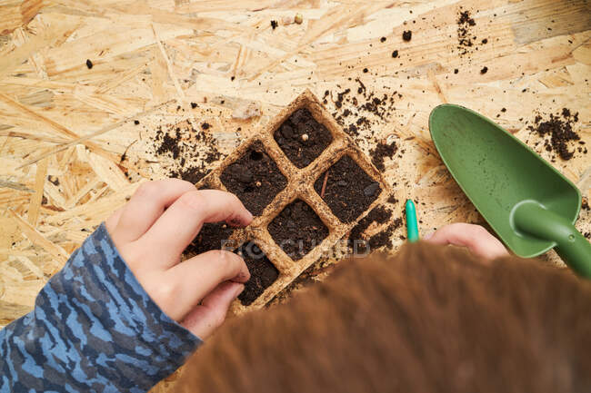 Dall'alto di coltura anonima bambino con distributore di semi scavare buche in contenitore biodegradabile con terreno — Foto stock